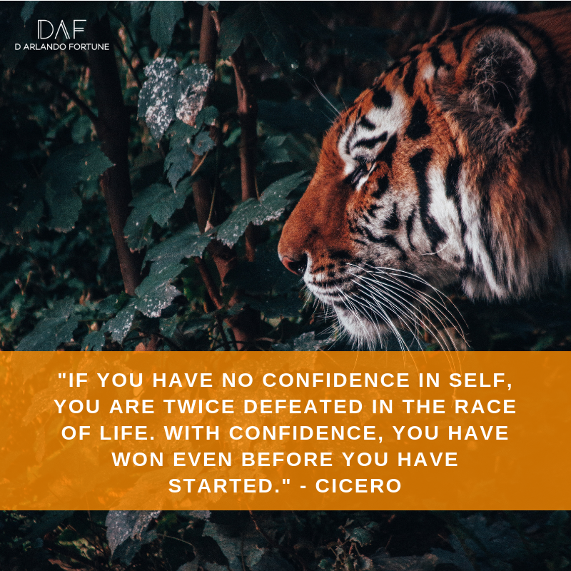 If you have no confidence in self